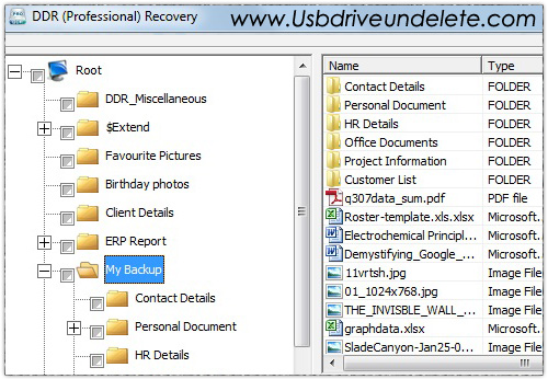 Ddr Recovery Professional Crack Download